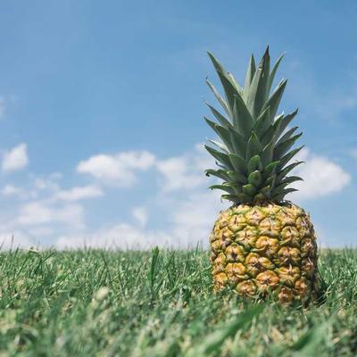 高端网络化稳定性官方下载